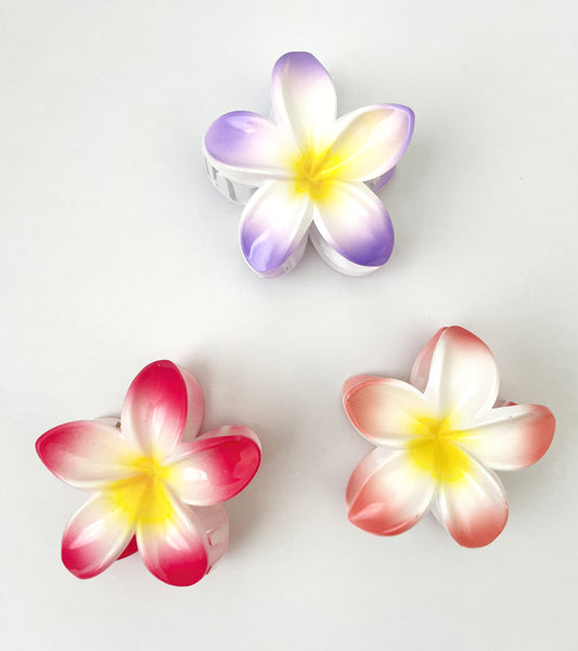 Flowers Hair Clips